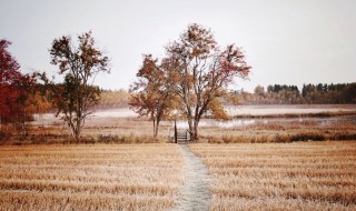 Visit Skåne Winter Foap Mission